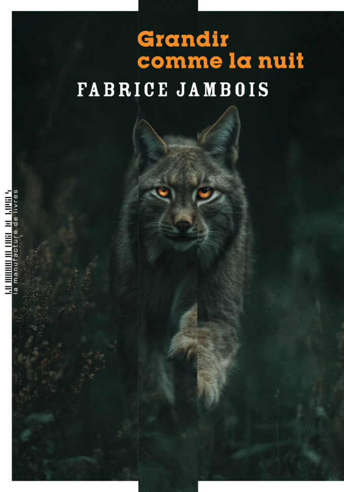 Grandir comme la nuit / Fabrice Jambois