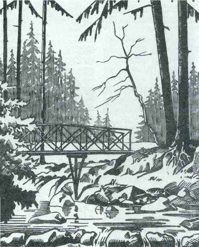 Le pont d’Amour, près de Gérardmer. Gravure de Louis Claudel.