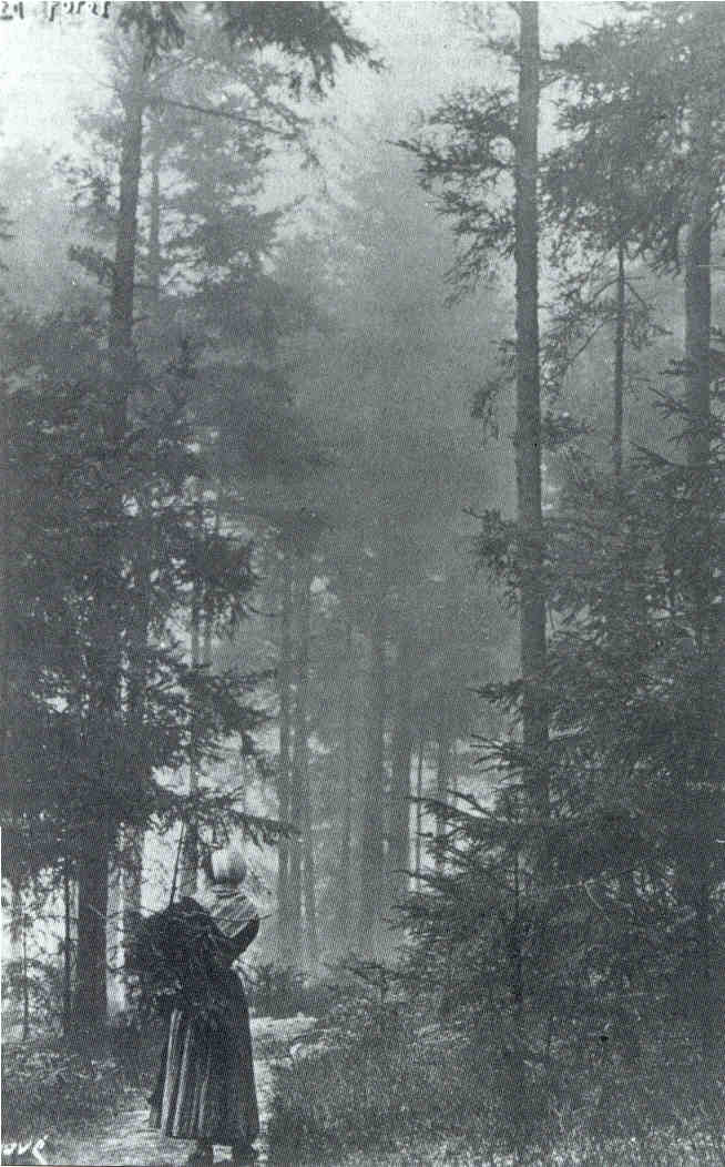 Photo de Jové.